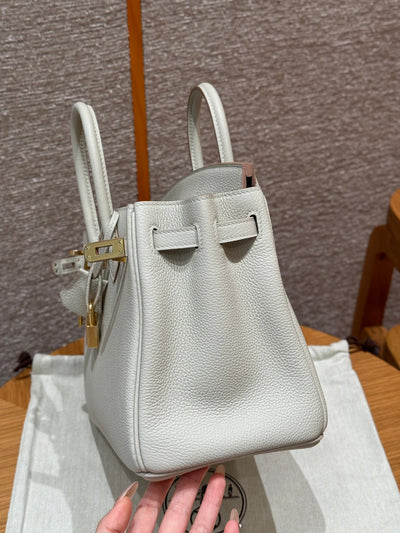 Birkin 25 Beton Luxury Bag