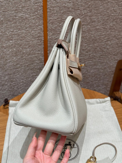 Birkin 25 Beton Luxury Bag