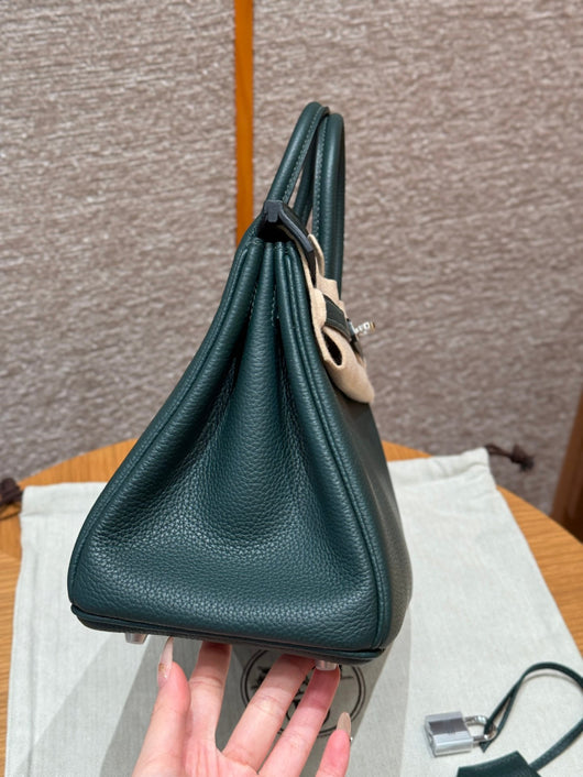 Birkin 25 Vert Titien Luxury Bag