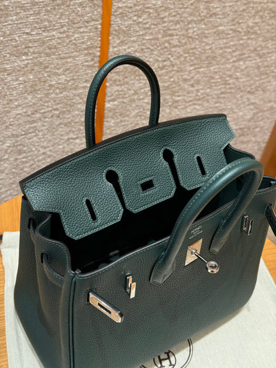 Birkin 25 Vert Titien Luxury Bag