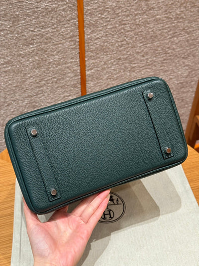 Birkin 25 Vert Titien Luxury Bag