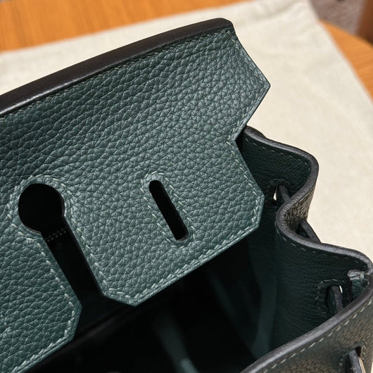 Birkin 25 Vert Titien Luxury Bag