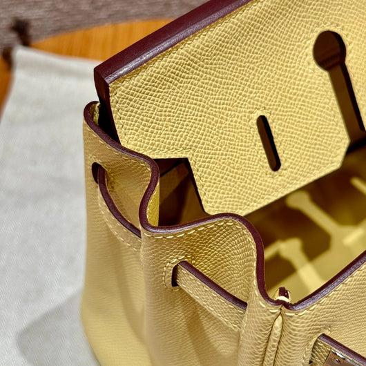 Birkin 25 Jaune Poussin Luxury Bag