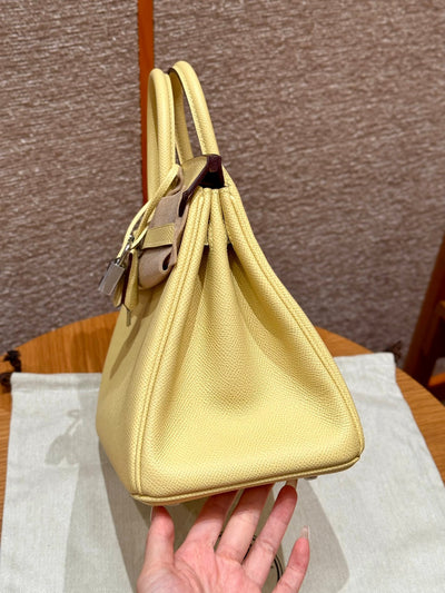 Birkin 25 Jaune Poussin Luxury Bag