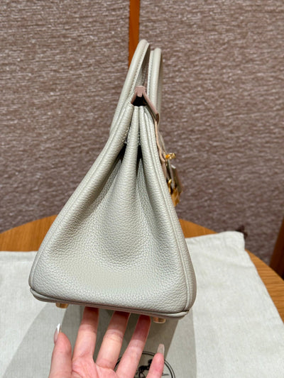 Birkin 25 Gris Perle Luxury Bag