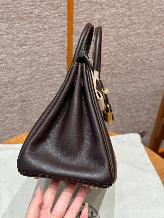 Birkin 25 Chocolate Luxury Bag