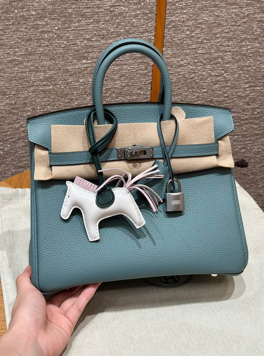 Birkin 25 Ciel Luxury Bag
