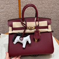 Birkin 25 Rouge Luxury Bag