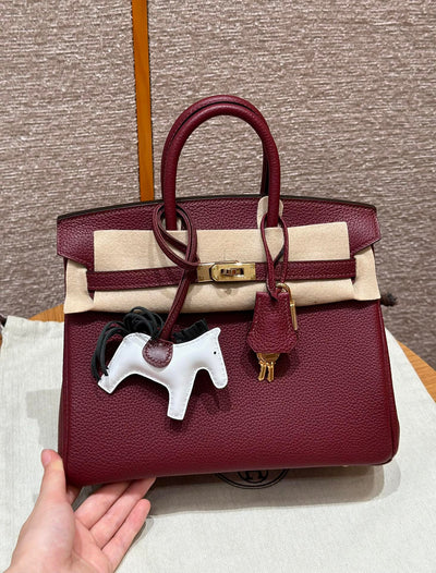 Birkin 25 Rouge Luxury Bag