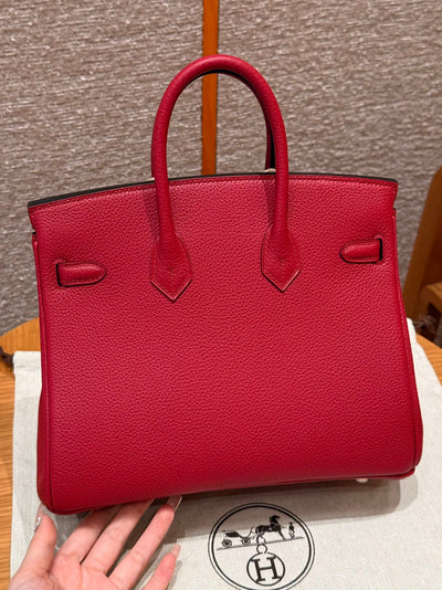 Birkin 25 Ruby Luxury Bag