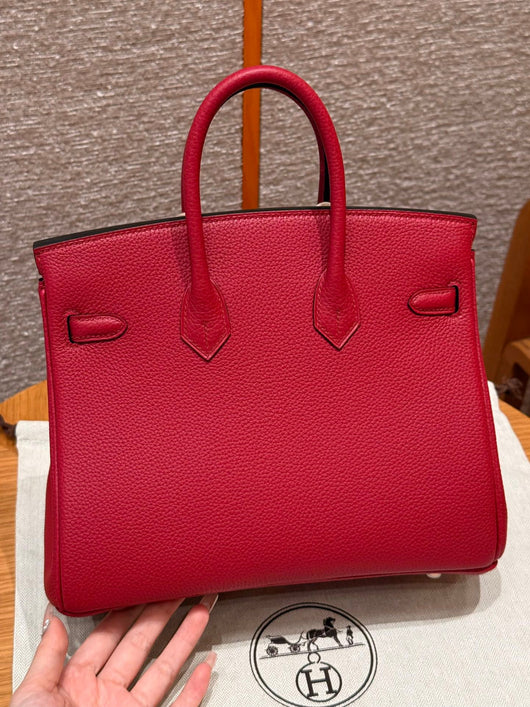 Birkin 25 Ruby Luxury Bag