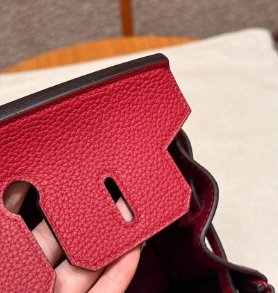 Birkin 25 Ruby Luxury Bag