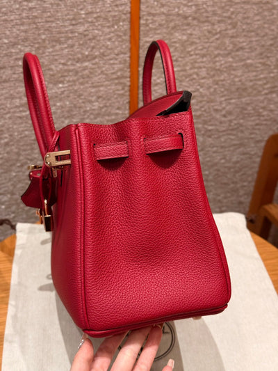 Birkin 25 Ruby Luxury Bag