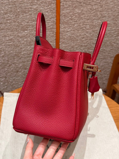 Birkin 25 Ruby Luxury Bag