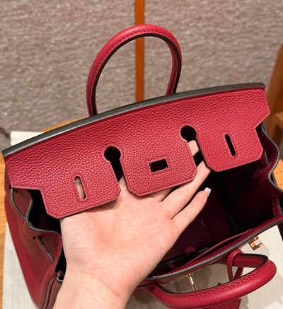 Birkin 25 Ruby Luxury Bag