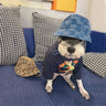 G Edge Pup Hoodie