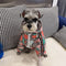 G Windbreaker Dog