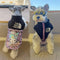 Trend Pup Vest
