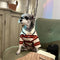G Lit Pup Hoodie