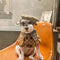 G Peak Pup Hoodie