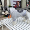 Graphic Rare Doggo Hoodie