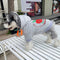 Script Flex Pup Hoodie