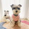 Monogramvest Crisp Pup Vest