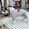 Graphic Crisp Puppy Hoodie