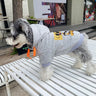 Mickey Print Dog Hoodie