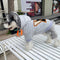 Letter Drip Pup Hoodie