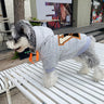 Letter Drip Pup Hoodie