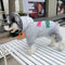 Leopard Print Dog Hoodie