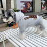 Graphic Steez Doggo Hoodie