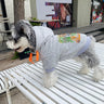 Tiger Premium Pup Hoodie
