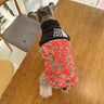 Viral Pup Vest