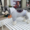 Graphic Sauce Pup Hoodie