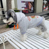 Graphic Rare Pup Hoodie