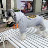 Tiger Lux Pup Hoodie