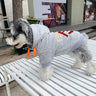 Letter Iconic Pup Hoodie