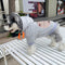 Graphic Slay Dog Hoodie