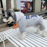 Script Edge Pup Hoodie