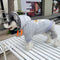 Graphic Peak Puppy Hoodie