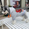 Graphic Snug Canine Hoodie