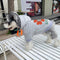 Floral Viral Pup Hoodie