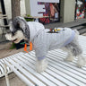 Graphic Fierce Canine Hoodie