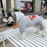 Graphic Lux Pup Hoodie