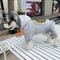 Tiger Smart Pup Hoodie
