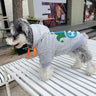 Graphic Swag Doggo Hoodie