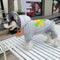 Graphic Heat Puppy Hoodie