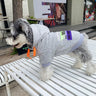 Graphic Icy Puppy Hoodie